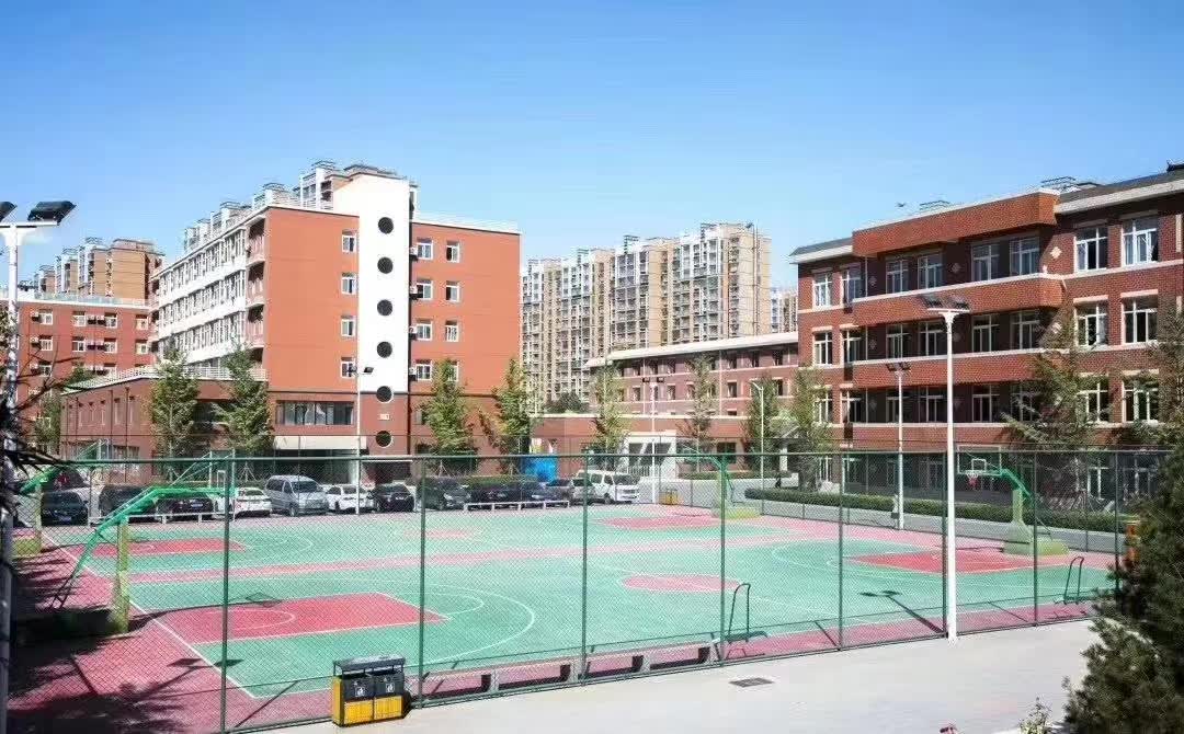 北大青鸟